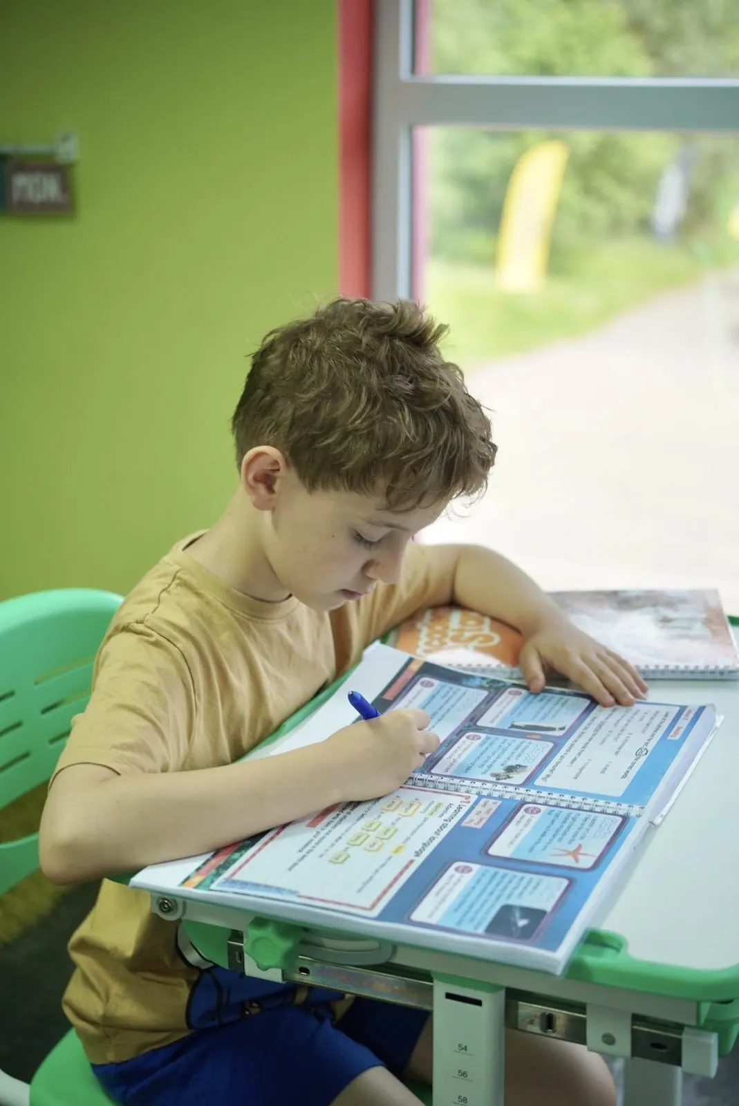 Навчальні програми